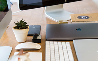 龙龟的技能是什么伤害-龙龟技能伤害类型全解析